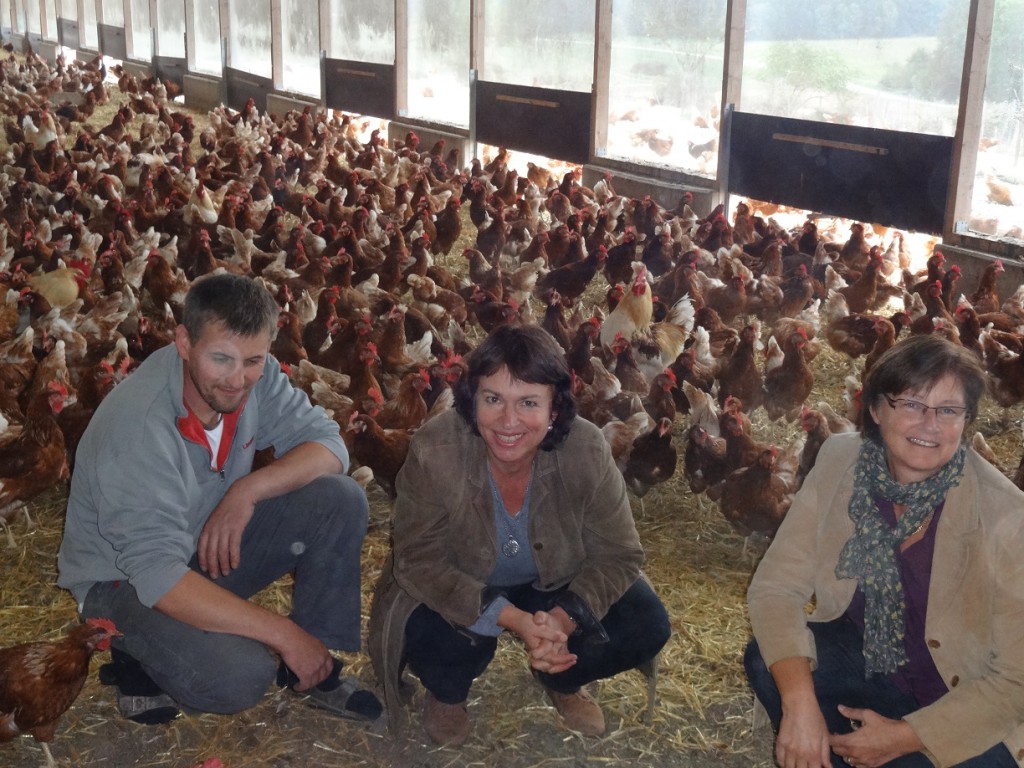 Landwirt Stallhofer, Gisela Sengl und Rosi Steinberger bei den Hühnern