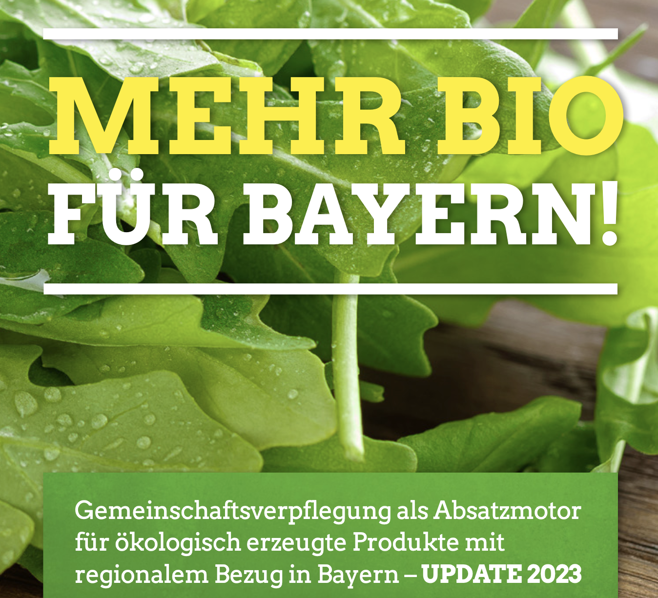Mehr Bio für Bayern: Gemeinschaftsverpflegung als Absatzmotor für ökologisch erzeugte Produkte mit regionalem Bezug in Bayern
